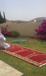 مزرعة للإيجار