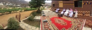 أبها