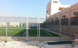 تركيب شبوك
