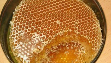 محلات بيع العسل في الرياض