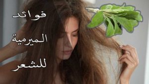 زيت وخل الميرمية لعلاج الشيب