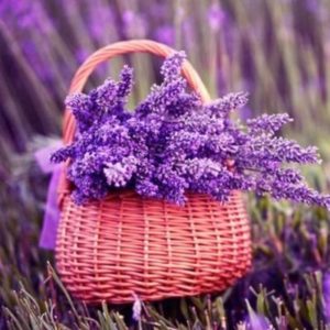 طرق علاج الثعلبة عند الاطفال