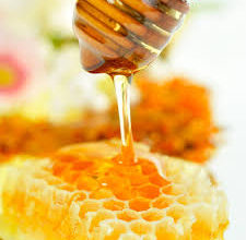  تجارة العسل الطبيعي