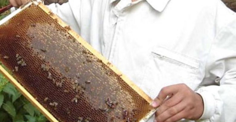 استيراد العسل