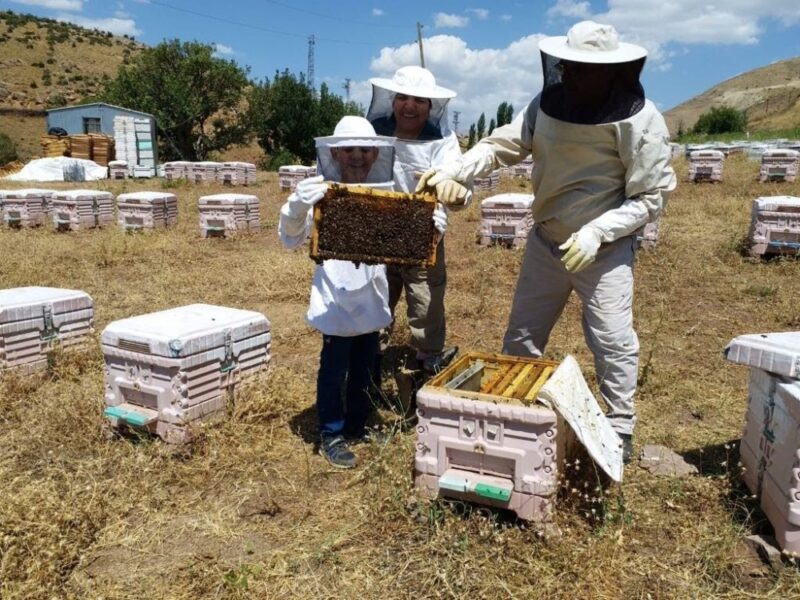 الفرق بين العسل الاصلى والمغشوش
