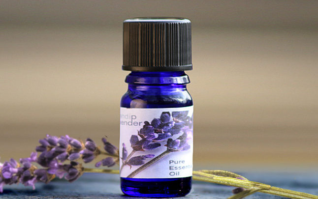 https://alriyadh-city.com/experiments-of-lavender-oil-for-hair/