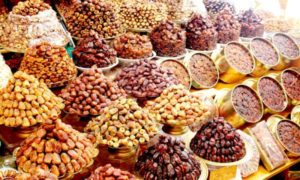 دراسة جدوى مشروع تمور