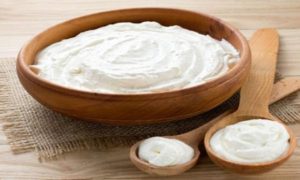 دراسة جدوى مشروع مصنع زبادى