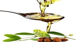 فوائد زيت الجوجوبا للحامل
