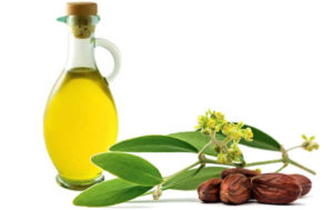 فوائد زيت الچوچوبا للشعر