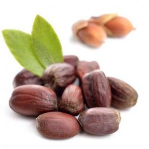 الفرق بين زيت الجوجوبا الاصلي والتقليد