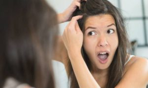 زيت الحشيش الاصلي في وادي بن هشبل.