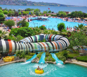 افكار مشاريع