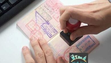 كيف استخرج تاشيرة عامل.. اعرف الطريقة من أفضل معقب